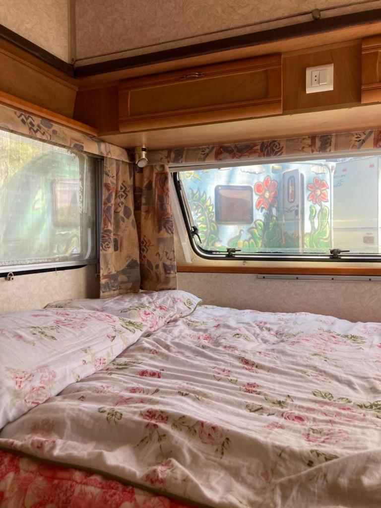 Camping Rogowo Mrzeżyno Habitación foto